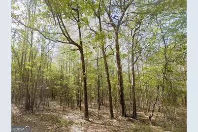 0 Snow Hill Church Road #LOT D-11, Gordon, GA 31031 - Photo 7