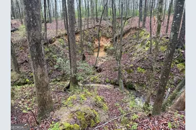 1791 McRess Gin Road, Watkinsville, GA 30677 - Photo 3