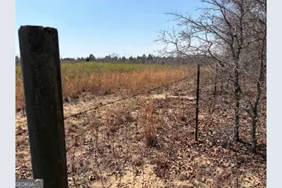 461 Currington Rd, Mauk, GA 31058 - Photo 15