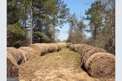 461 Currington Rd, Mauk, GA 31058 - Photo 25