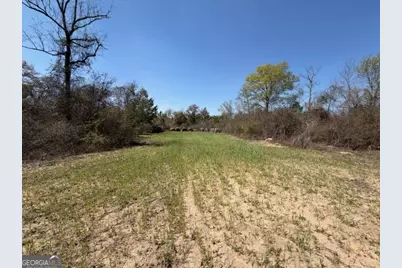 461 Currington Rd, Mauk, GA 31058 - Photo 5