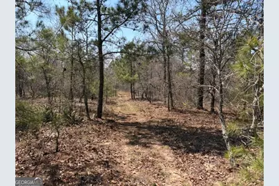 461 Currington Rd, Mauk, GA 31058 - Photo 19