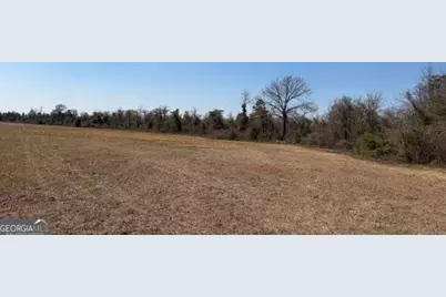 461 Currington Rd, Mauk, GA 31058 - Photo 3
