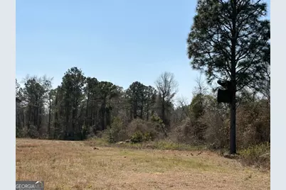 461 Currington Rd, Mauk, GA 31058 - Photo 1