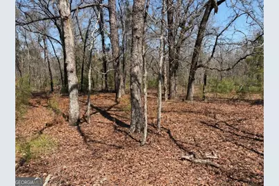 461 Currington Rd, Mauk, GA 31058 - Photo 13