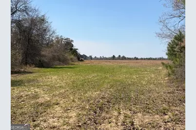 461 Currington Rd, Mauk, GA 31058 - Photo 11