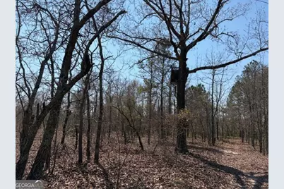 461 Currington Rd, Mauk, GA 31058 - Photo 21