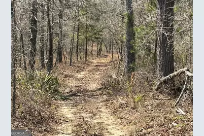 461 Currington Rd, Mauk, GA 31058 - Photo 17