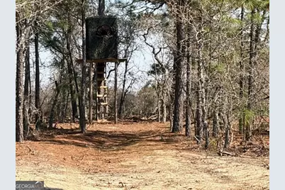 461 Currington Rd, Mauk, GA 31058 - Photo 29