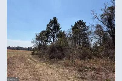 461 Currington Rd, Mauk, GA 31058 - Photo 7