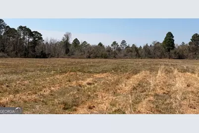 461 Currington Rd, Mauk, GA 31058 - Photo 9