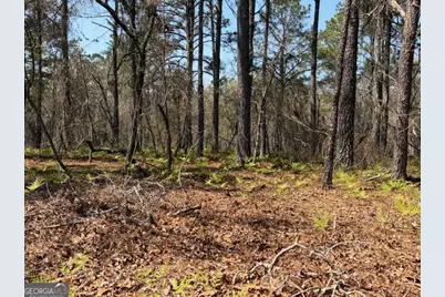 461 Currington Rd, Mauk, GA 31058 - Photo 23