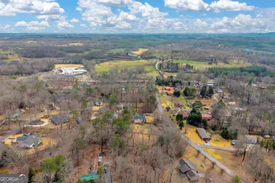 115 Settlers Point Drive, Clarkesville, GA 30523 - Photo 13