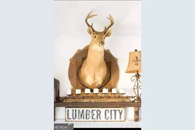 11 Short Cut Road, Lumber City, GA 31549 - Photo 31