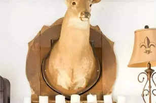 11 Shortcut Rd, Lumber City, GA 31549 - Photo 31