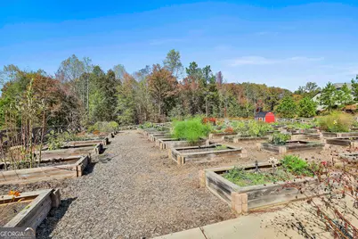 223 Sweetbay Court, Peachtree City, GA 30269 - Photo 69