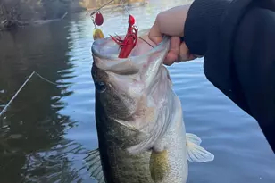 75 Mikes Ln, Sharpsburg, GA 30277 - Photo 127