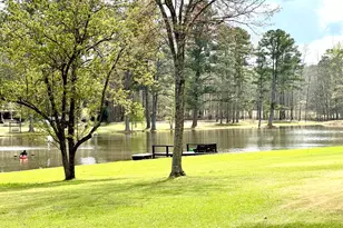 75 Mikes Ln, Sharpsburg, GA 30277 - Photo 15