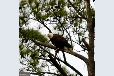 75 Mikes Lane, Sharpsburg, GA 30277 - Photo 117