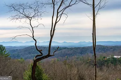 Lot 13 White Oak Circle #13, Blue Ridge, GA 30513 - Photo 1