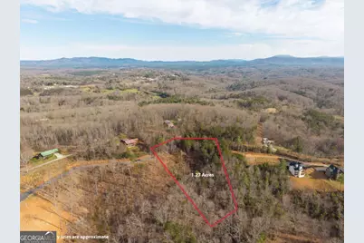 Lot 13 White Oak Circle #13, Blue Ridge, GA 30513 - Photo 11