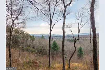 Lot 13 White Oak Circle #13, Blue Ridge, GA 30513 - Photo 5
