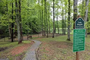 705 Laurel Ridge Dr, Ellijay, GA 30536 - Photo 71