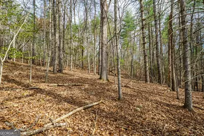 Lot 6 Hampton Road #6, Morganton, GA 30560 - Photo 11