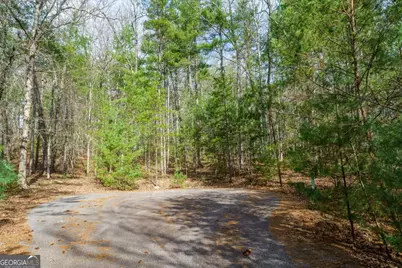 Lot 6 Hampton Road #6, Morganton, GA 30560 - Photo 9