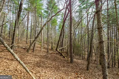 Lot 6 Hampton Road #6, Morganton, GA 30560 - Photo 13