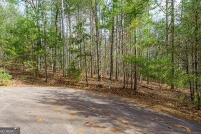 Lot 6 Hampton Road #6, Morganton, GA 30560 - Photo 1