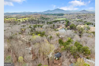 426 Skyview Circle, Clarkesville, GA 30523 - Photo 41