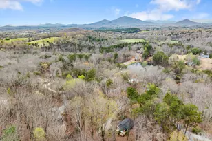 426 Skyview Cir, Clarkesville, GA 30523 - Photo 41