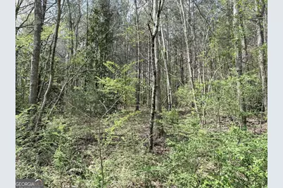 00 Old Columbus Road, Bowdon, GA 30108 - Photo 7