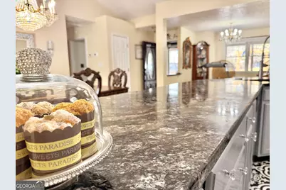 240 Ray Street, Tallapoosa, GA 30176 - Photo 9