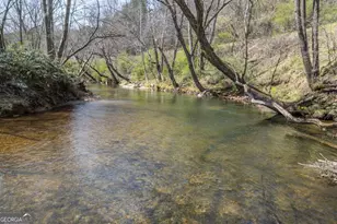 4494 Gainesville Hwy, Blairsville, GA 30512 - Photo 45