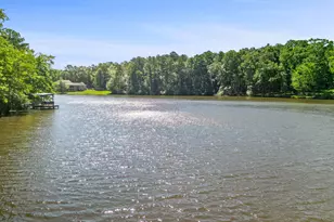 205 Kristie Ln, Tyrone, GA 30290 - Photo 71