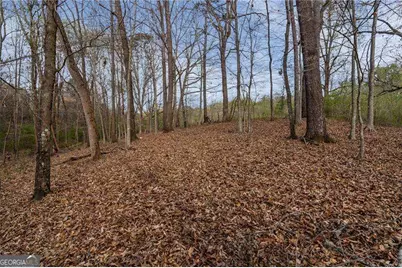 342 Jesse Martin Trail, Canton, GA 30115 - Photo 7