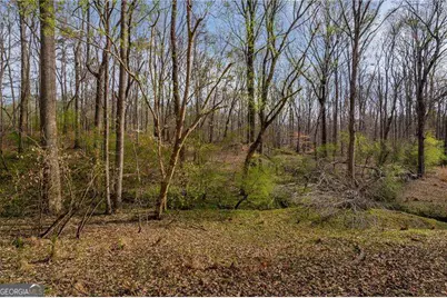 342 Jesse Martin Trail, Canton, GA 30115 - Photo 5