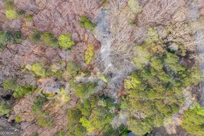 342 Brown Bridge Road, Auburn, GA 30011 - Photo 7