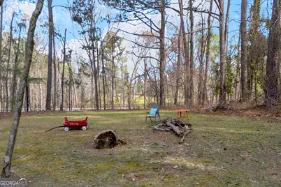 342 Brown Bridge Road, Auburn, GA 30011 - Photo 23