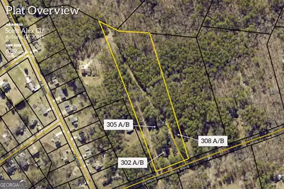 305 Scott Alex Circle, Auburn, GA 30011 - Photo 45