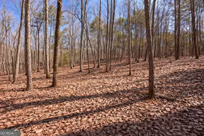 843 Fern Valley Road, Ellijay, GA 30536 - Photo 57