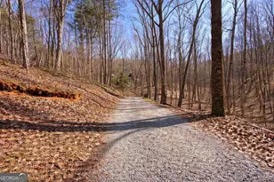 843 Fern Valley Rd, Ellijay, GA 30536 - Photo 49