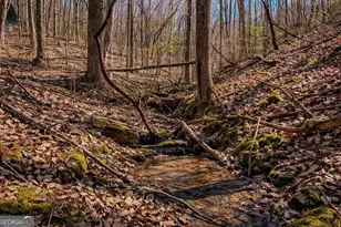 843 Fern Valley Rd, Ellijay, GA 30536 - Photo 7