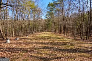 843 Fern Valley Rd, Ellijay, GA 30536 - Photo 59