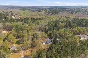 1255 Coan Dr, Locust Grove, GA 30248 - Photo 47