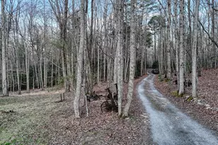 633 Timber Ridge Rd, Blairsville, GA 30512 - Photo 71