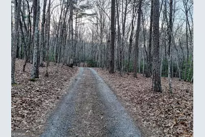 633 Timber Ridge Road, Blairsville, GA 30512 - Photo 67