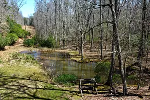 633 Timber Ridge Rd, Blairsville, GA 30512 - Photo 5